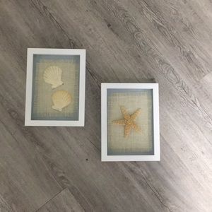 Beachy shell pictures